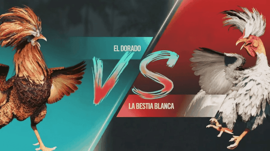 777win Baixar Plataforma e Games Online